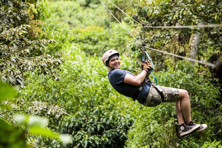 Deslizarse por canopy entre árboles del bosque de Mindo