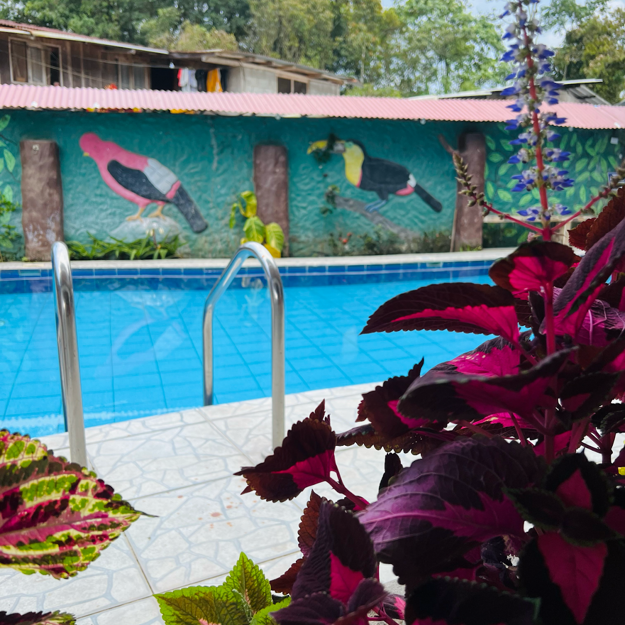 Piscina termal natural con aguas cálidas y relajantes